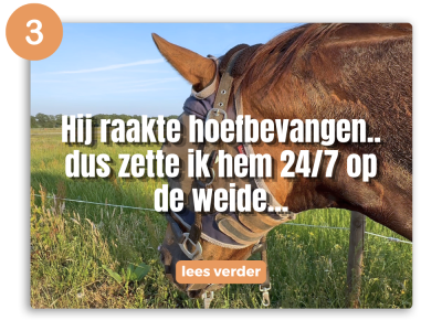 voedingsspecialist en gedragstrainer voor paarden (3)