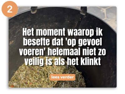 voedingsspecialist en gedragstrainer voor paarden (4)