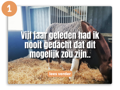 voedingsspecialist en gedragstrainer voor paarden (5)